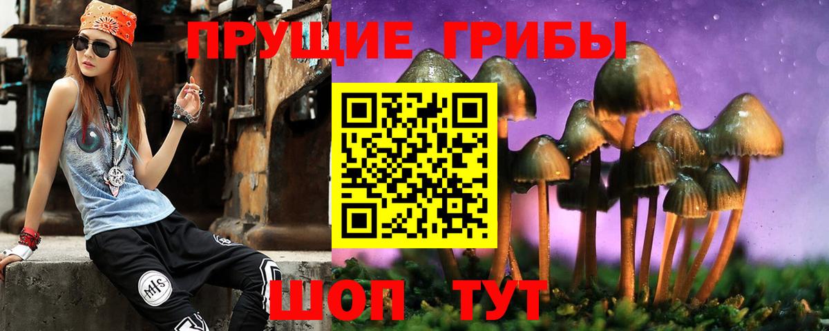 Югорск  Галлюциногенные грибы ЛСД  наркотики  Вход с VPN 